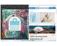 Microsoft Windows 11 Home OEM DVD PL - 689675 - zdjęcie 4